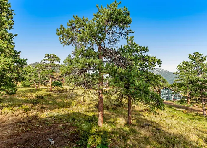 Deer Mountain Lodge South